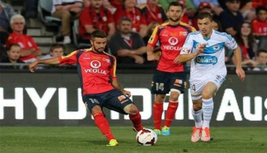 墨尔本城vs阿德莱德前瞻 墨尔本城主强客弱特点明显