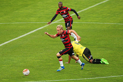 中央海岸水手vs惠灵顿凤凰前瞻 中央海岸水手主场恐沦陷