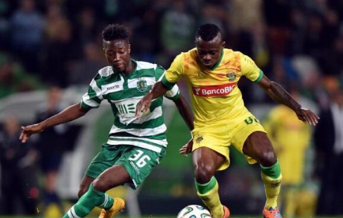 沙维什vs比兰尼前瞻 无欲无求比兰尼或战意不足