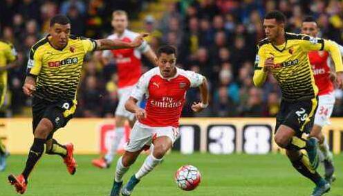 沃特福德vs阿森纳分析:沃特福德大战阿森纳恐难敌抢手