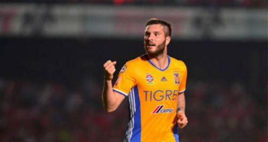 老虎大学vs墨西哥美洲 老虎大学主场不败,墨美洲实力强劲