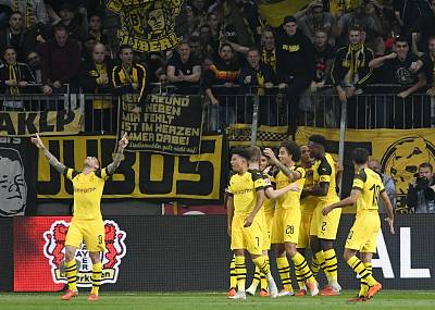 多特蒙德vs勒沃库森前瞻 罗伊斯确认缺阵