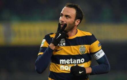 费拉拉SPALvs维罗纳前瞻 斯帕尔状态下滑仍有望获胜