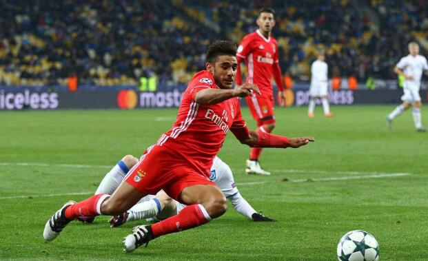 本菲卡vs费内巴切分析 本菲卡主场取三分希望大