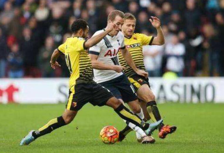 热刺vs沃特福德前瞻 孙兴慜回归