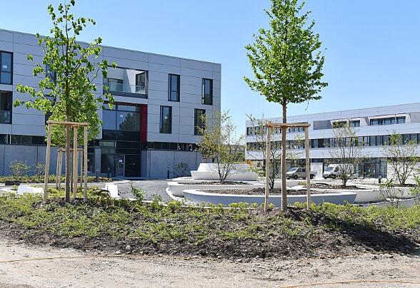 拜仁VS弗赖堡 赫内斯：拜仁在青训已经落后 新青训中心要快投入使用