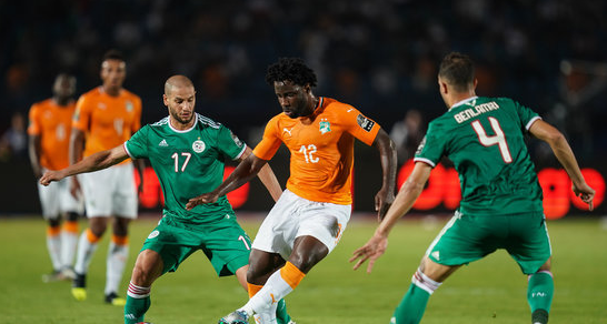 塞内加尔vs阿尔及利前瞻 士气正佳阿尔及利誓在捧杯